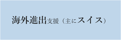 海外進出支援（主にスイス）